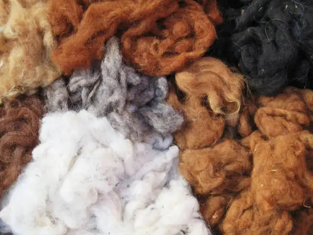 luxury wool