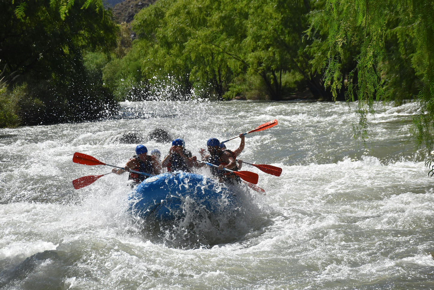 People rafting in a blue raft on a river with trees in the background