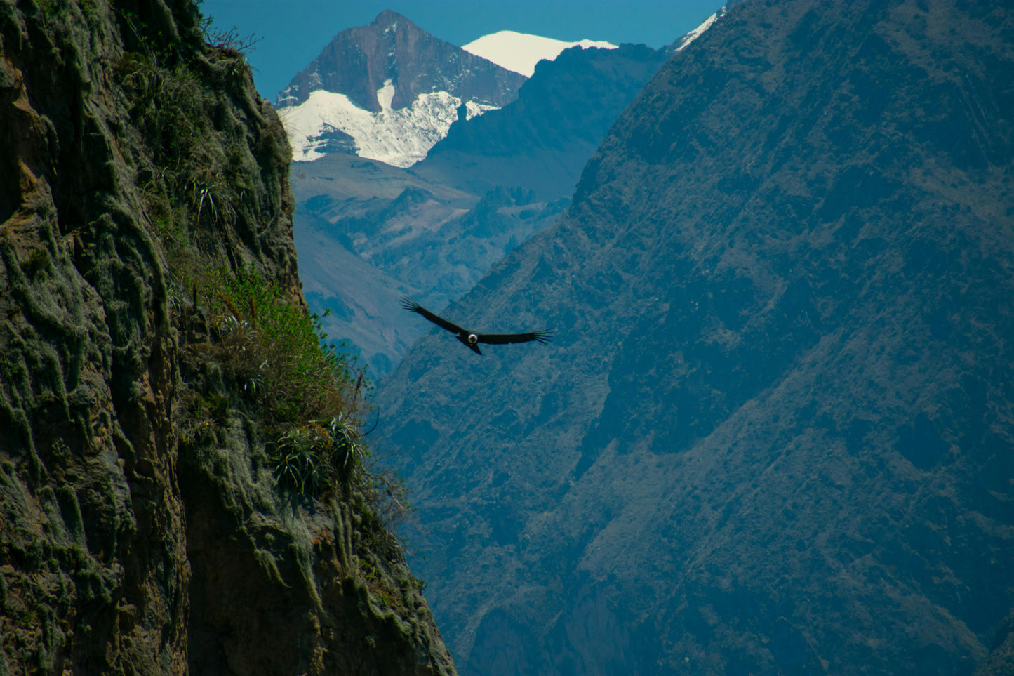 12-Day Andes Running Retreat – Arequipa Marathon & Mountain Trails
