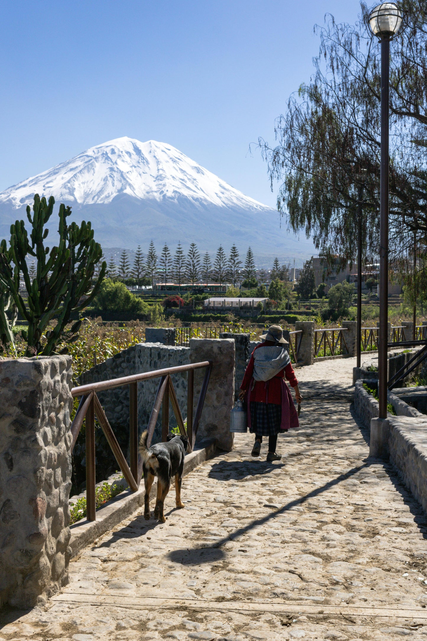 Woman walking a dog on a stone path with a mountain in the background