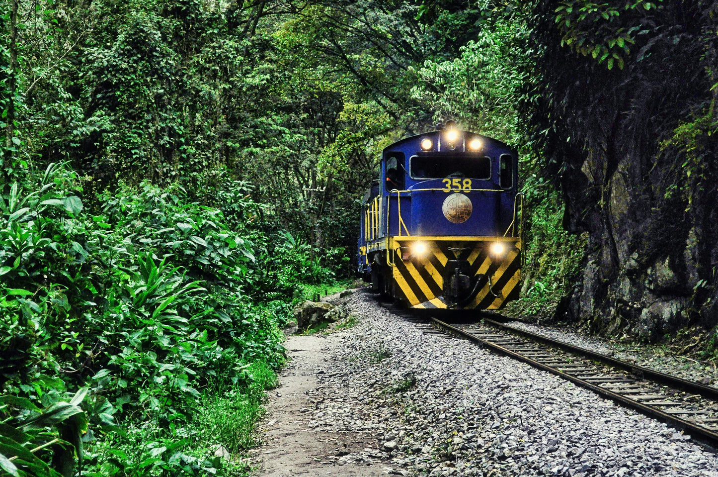 Blue train on a track surrounded by lush greenery