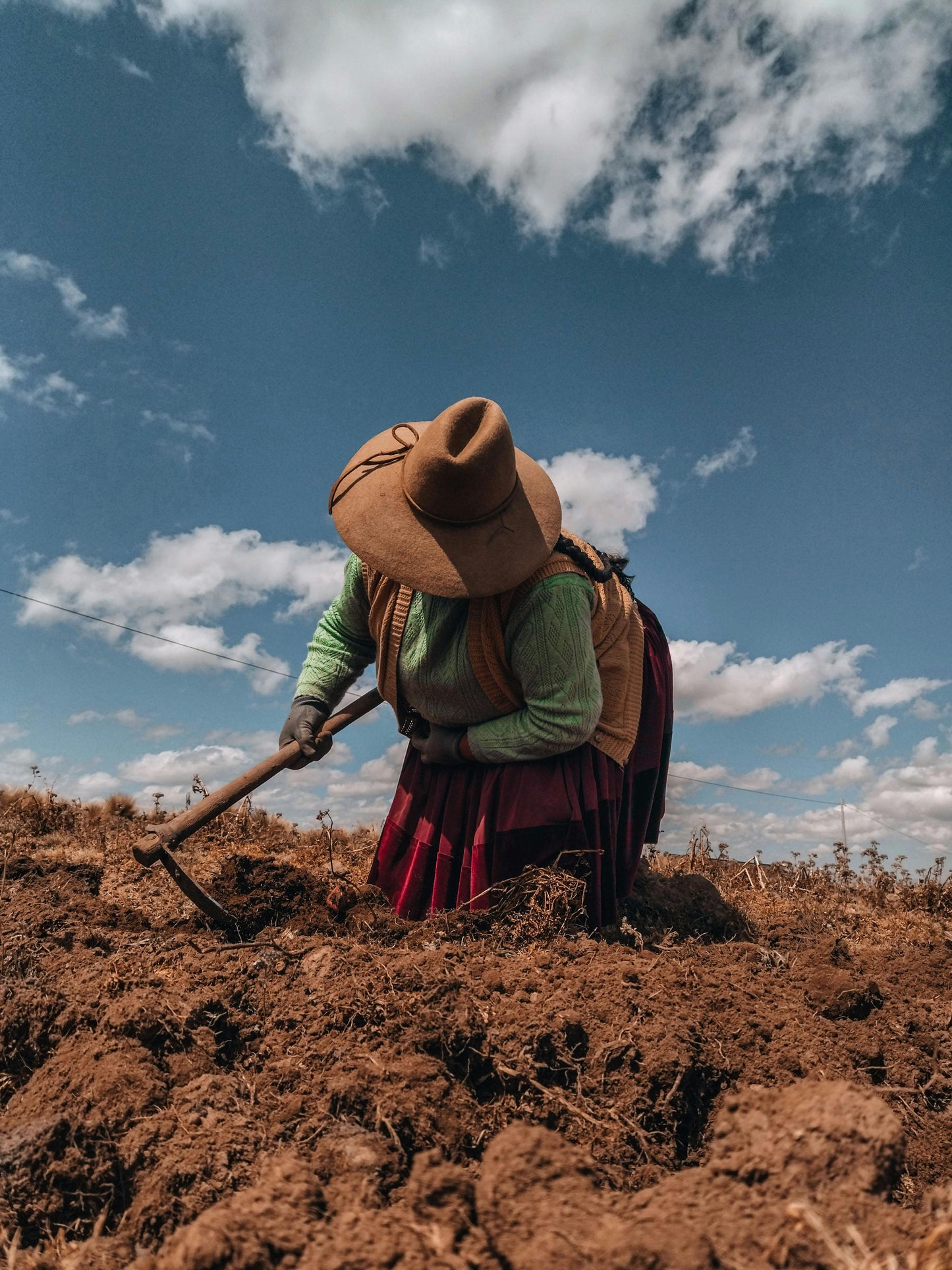 Person working in a field with a blue sky and clouds in the background