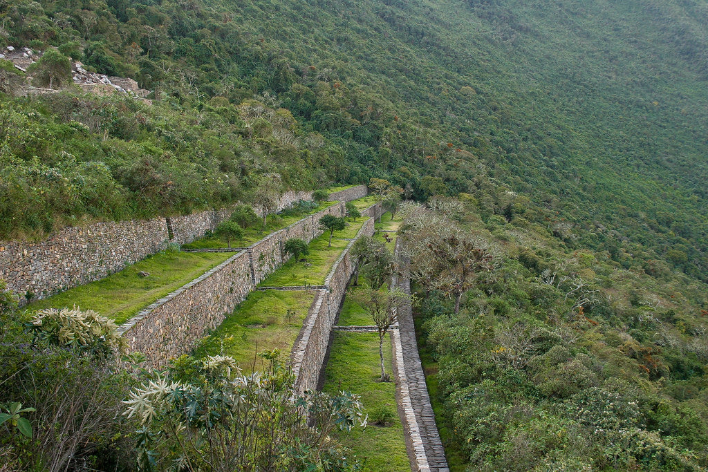 Ancient stone wall surrounded by greenery on a mountain