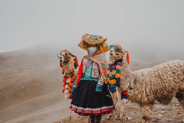 alpaca wholesale products