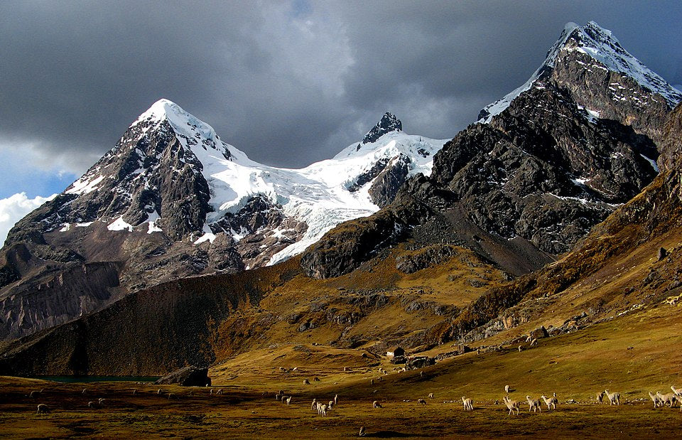 Mountain landscape with snow-capped peaks and grazing animals in a valley.