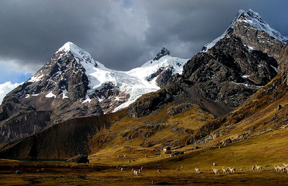 Mountain landscape with snow-capped peaks and grazing animals in a valley.