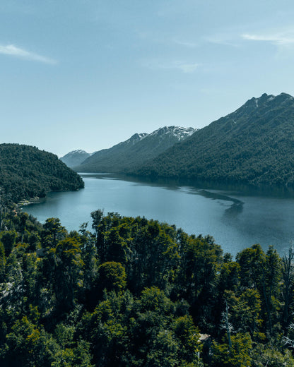 Lake surrounded by mountains and trees under a clear blue sky