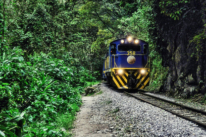 Blue train on a track surrounded by lush greenery