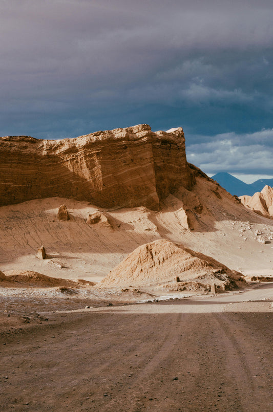 Walk throught the Altiplano in Chile
