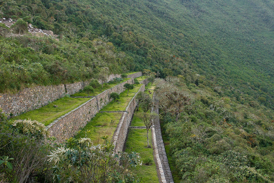 Ancient stone wall surrounded by greenery on a mountain